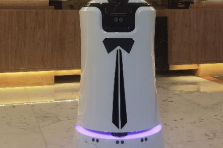Remora - Robotic Solutions